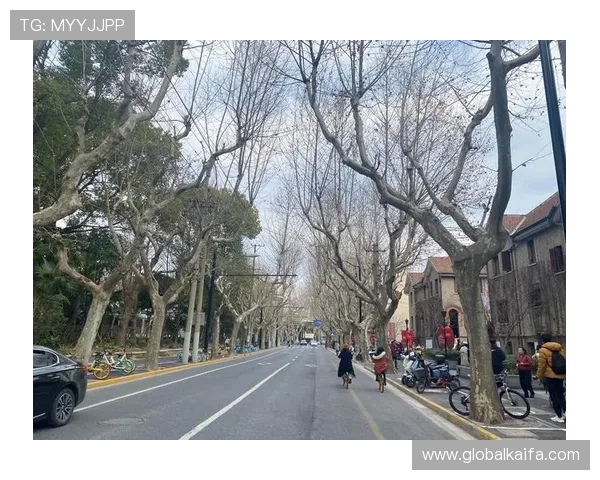 选择稳定的ag厅k8登录线路的重要性及其安全保障措施 选择稳定的ag厅k8登录线路的重要性及其安全保障措施