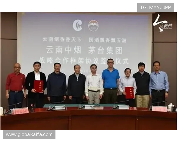 了解凯发集团旗下公司名单，探究其在行业中的竞争优势与未来发展方向