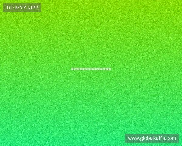 提升凯发体育注册账号查询效率的实用技巧与操作流程指南